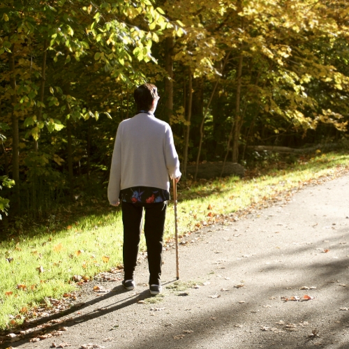 Physical-therapy-clinic-balance-and-gait-disorders-kinect-physiotherapy-knightdale-wake-forest-nc